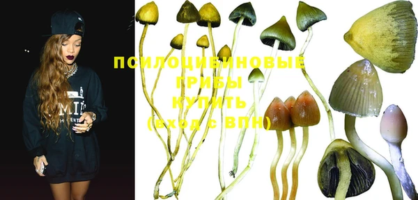 индика Горняк