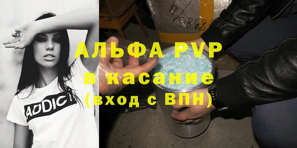 индика Горняк