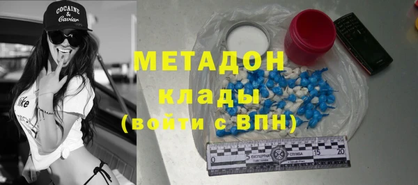 индика Горняк