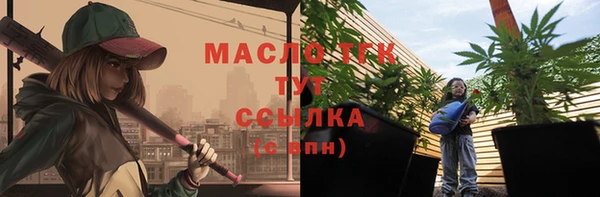 индика Горняк