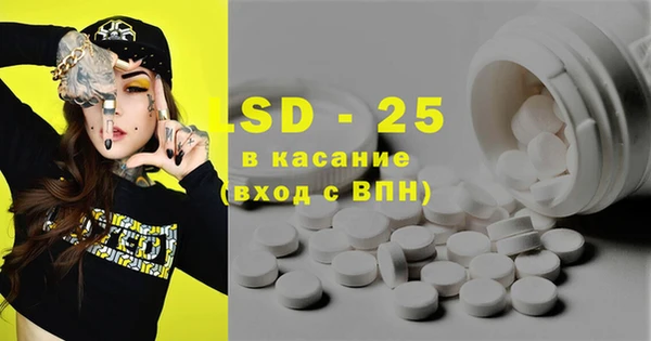 индика Горняк