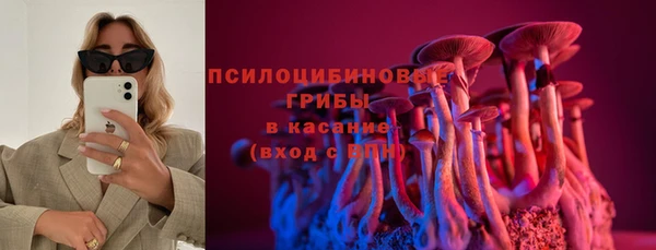 индика Горняк