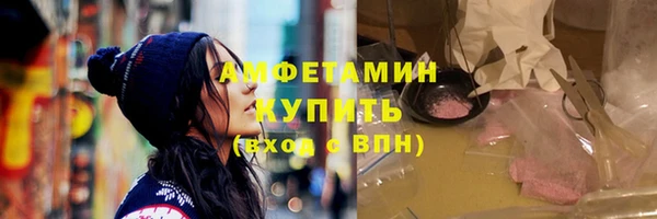 индика Горняк