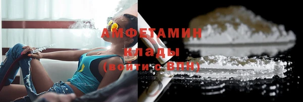 индика Горняк