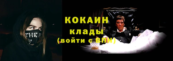индика Горняк