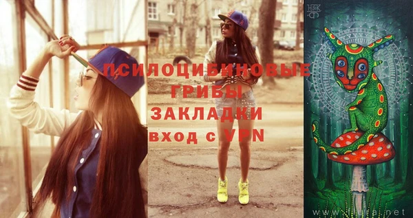 индика Горняк