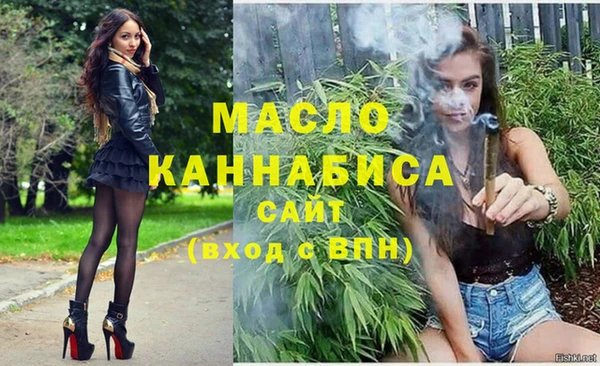 индика Горняк