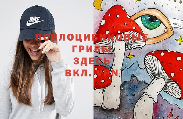 твердый Горнозаводск