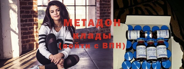 индика Горняк