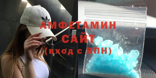 индика Горняк