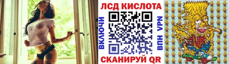 Купить закладки  Елизово  Марки N-bome 1,8мг 