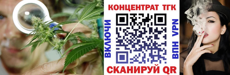 Купить закладки  Елизово  ТГК концентрат 